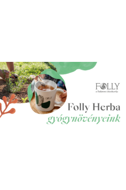 Folly Herba - Gyógynövényeink