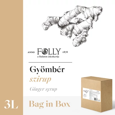 Gyömbér szirup 3 liter