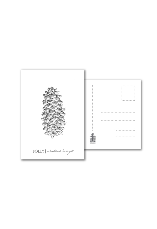 Folly Arborétum képeslap Pinus Coulteri toboz rajzzal